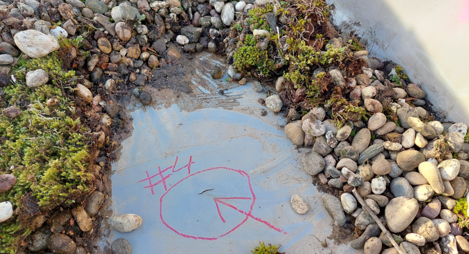 Ein undichtes Flachdach ist kein Grund zur Panik - aber ein klarer Handlungsimpuls! Finden Sie heraus, was Sie über Leckortung, Abdichtung und Lebensdauer wissen sollten.