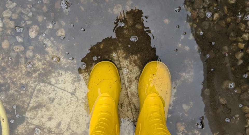 Wer uns kennt, kennt uns wegen unserer 30 Jahre langen Erfahrung in der Leckageortung - aber finden wir den Grund für den Wasserschaden im Flachdach zuverlässig ?