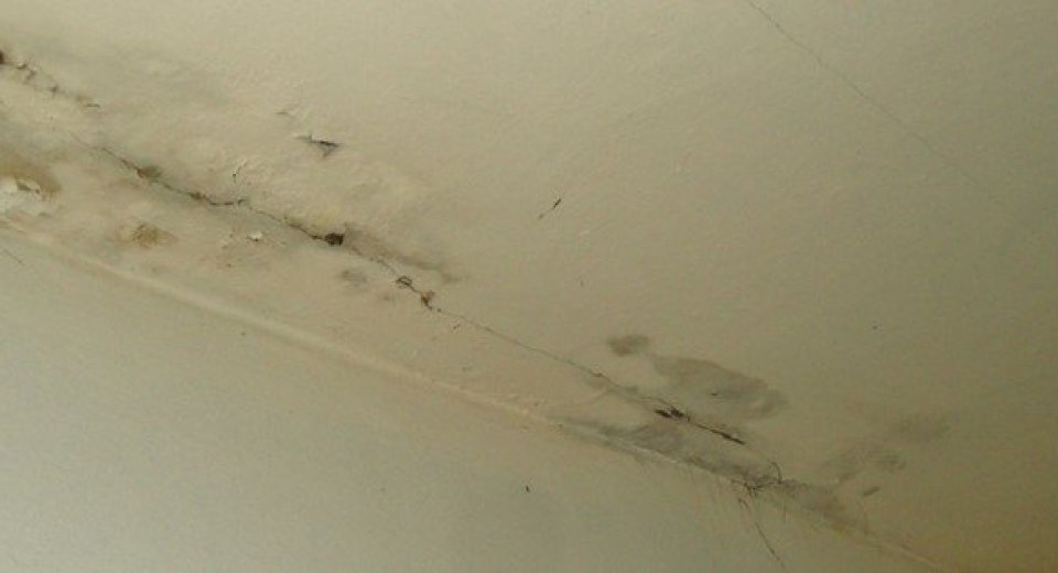 Ein Wasserfleck an der Decke entsteht nicht ohne Grund. Erfahren Sie, welche Ursachen dahinterstecken können, welche Risiken bestehen und wann schnelles Handeln notwendig ist.